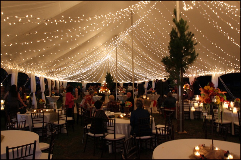 Tent Light Rentals